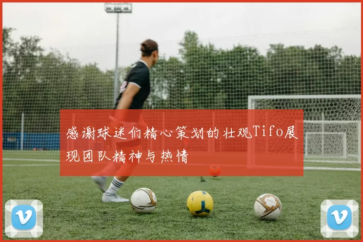 感谢球迷们精心策划的壮观Tifo展现团队精神与热情